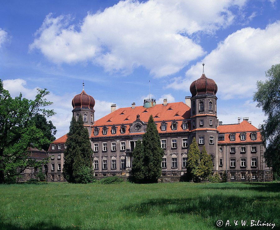 Pałac w Brynku, Śląsk