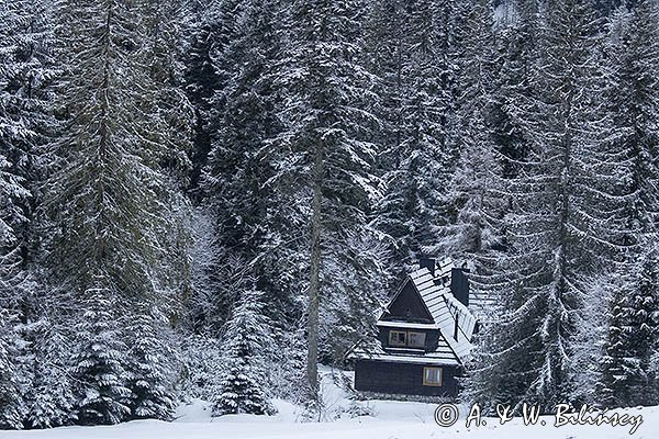 Brzanówka, Zazadnia, Tatry