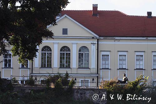 Brzeg Dolny, Pałac