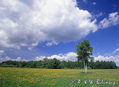 Nadbużański Park Krajobrazowy