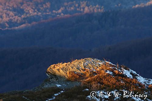 Bukowe Berdo, Bieszczady