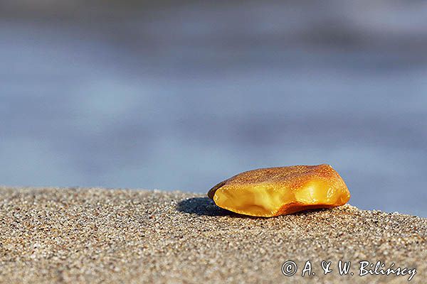 Bursztyn na plaży