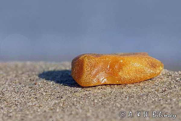 Bursztyn na plaży