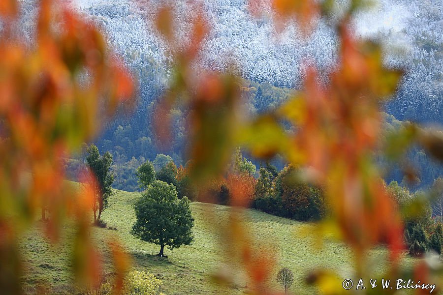 Bystre, jesień, kontrasty, szrony, barwy, Bieszczady