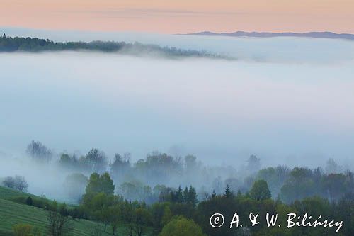 Bystre, mgły o wschodzie słońca, Bieszczady