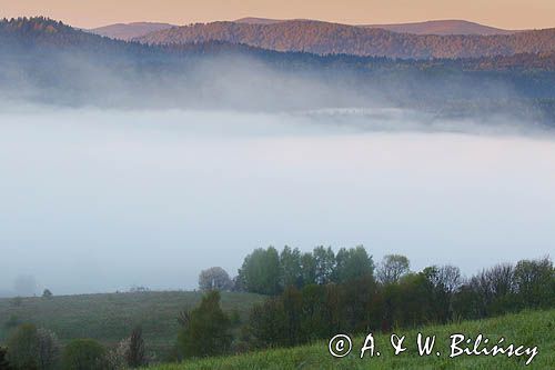 Bystre, mgły o wschodzie słońca, Bieszczady