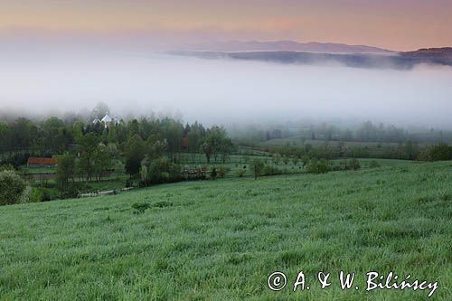 Bystre, kopuły cerkwi, Bieszczady