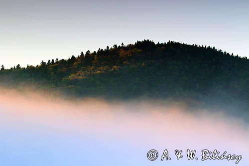 Bystre, mgły o wschodzie słońca, Bieszczady