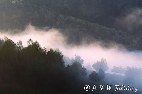 mgły o wschodzie słońca, Bieszczady