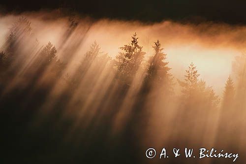 mgły o wschodzie słońca, Bieszczady