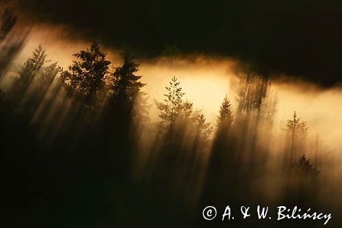 mgły o wschodzie słońca, Bieszczady