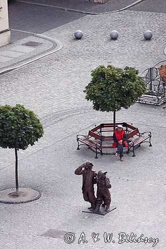 Bytom Odrzański, Rynek, pomnik Czarny Kot, bruk i gołębie