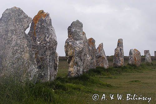 Menhirs de Lagatjar koło Camaret sur Mer, Bretania, Francja pole prehistorycznych stojących kamieni ułozonych w linie, Alignements de Lagatjar