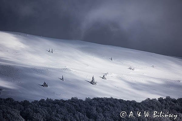 Połonina Caryńska, widok spod Rawek