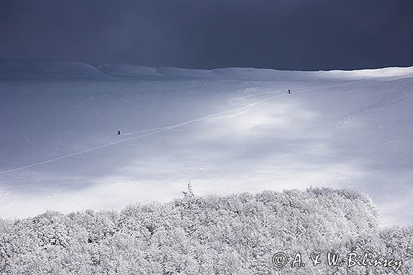 Połonina Caryńska, widok spod Rawek