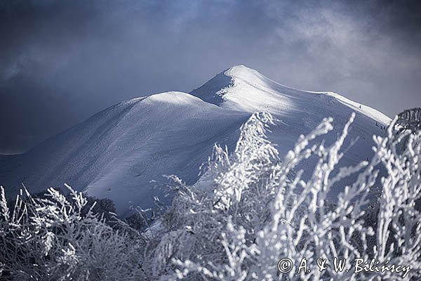 Połonina Caryńska, widok z Wetlińskiej