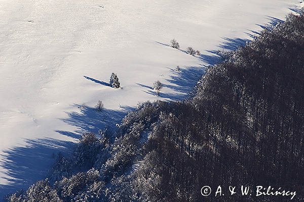 Na stoku Caryńskiej, widok z Połoniny Wetlińskiej, Bieszczady