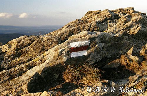 Bieszczady połonina Caryńska znak szlaku turystycznego