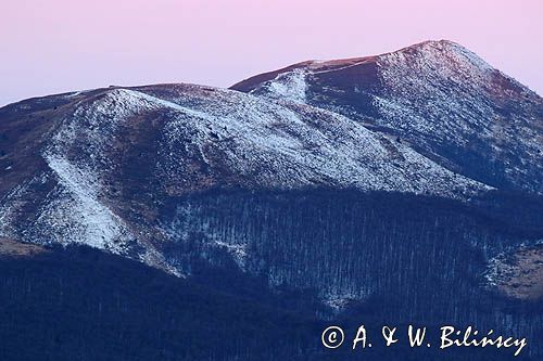 Połonina Caryńska, widok z Bukowego Berda, Bieszczady