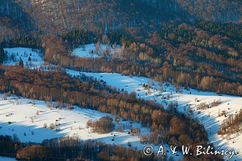 Zima, lasy, widok z Caryńskiej, Bieszczady