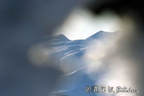 Z Caryńskiej w kierunku Tarnicy, Bieszczady