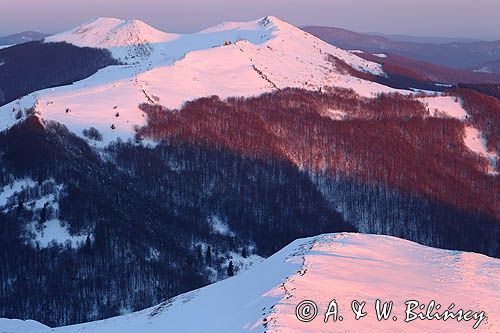 Caryńska i Wetlińska, Bieszczady