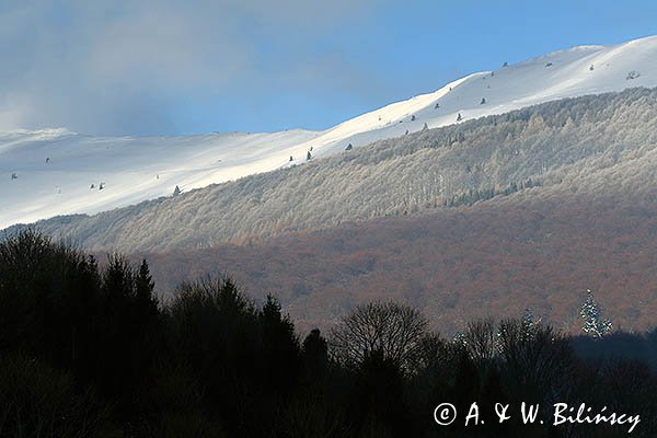 Połonina Caryńska, widok z Wołosatego, Bieszczady