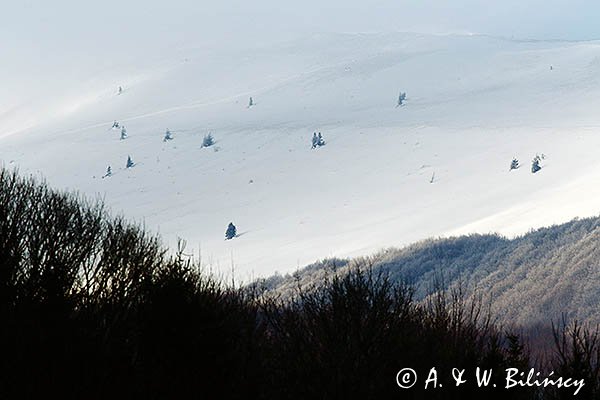 Połonina Caryńska, widok z Wołosatego, Bieszczady