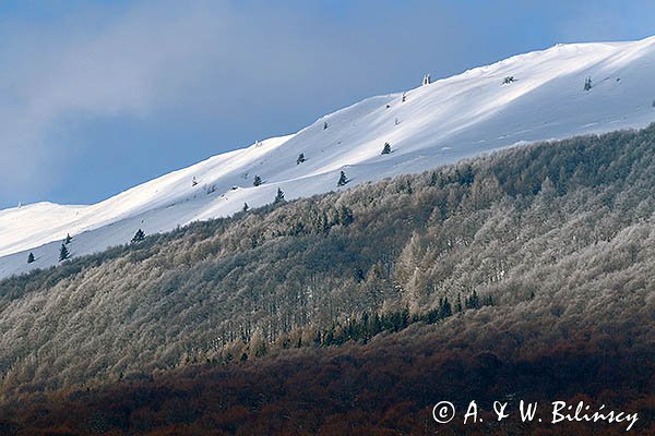 Połonina Caryńska, widok z Wołosatego, Bieszczady