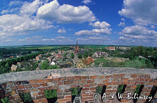 Cedynia, widok na miasto z wieży widokowej