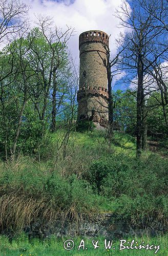 Wieża widokowa, Cedynia