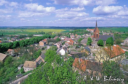 Cedynia, widok na miasto z wieży widokowej