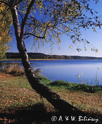 Jezioro Charzykowskie Kaszuby, Zaborski Park Krajobrazowy