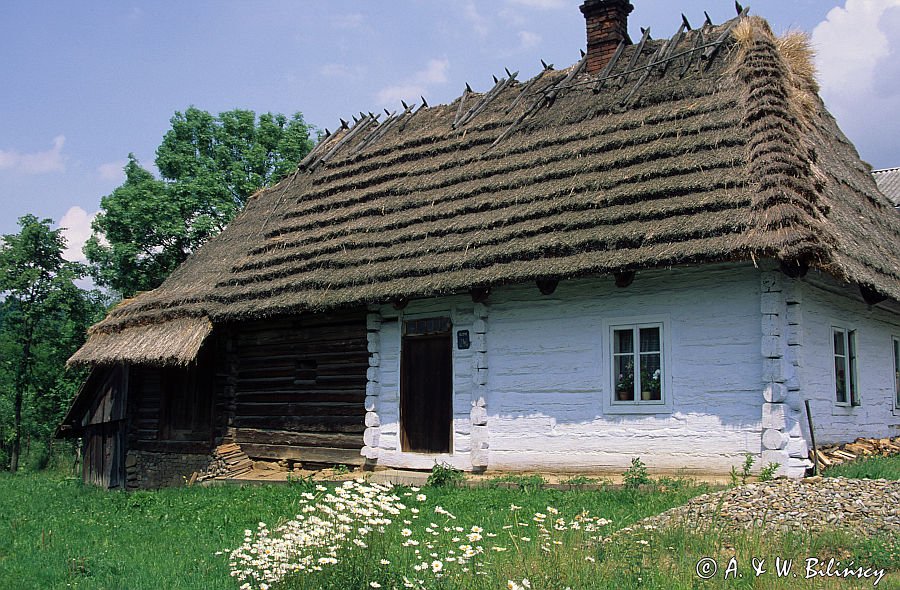 chata we wsi Blizne na Pogórzu Dynowskim