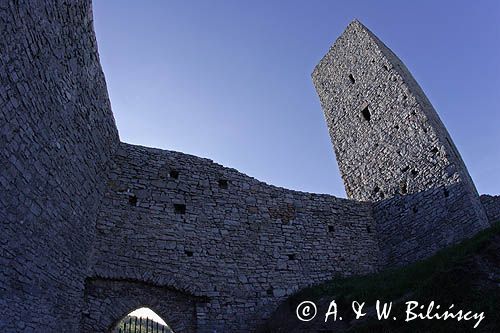 Chęciny, ruiny zamku królewskiego