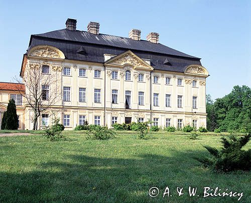 Ciążeń, Pałac biskupów Poznańskich z XVIII w.