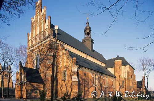 Ciechanów, Ciechanów kościół farny pw. Narodzenia NMP