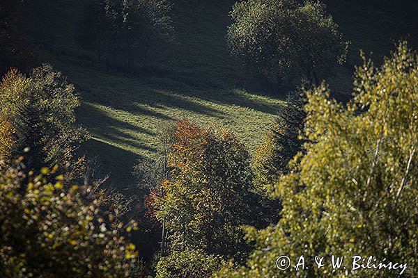 Jesień, cienie, Bieszczady