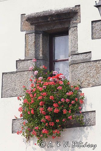 Concarneau, Stare Miasto, Bretania, Francja