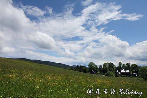 Czarna, łąka i cerkiew, Bieszczady