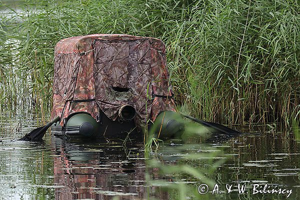 Czatownia na pontonie, fotografia przyrodnicza