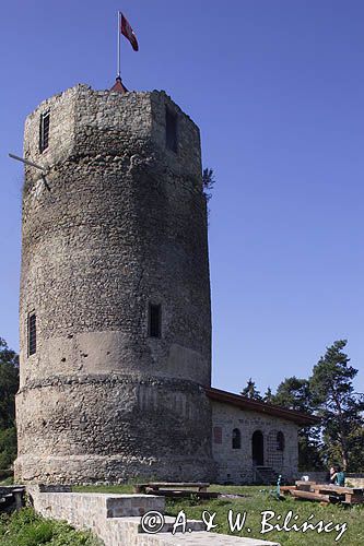 Czchów, zamek - romańska obronna wieża mieszkalna