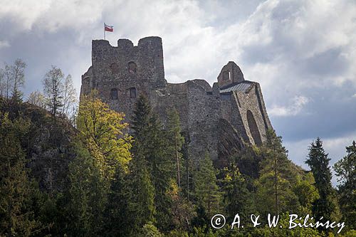 Ruiny zamku Czorsztyn, Pieniny