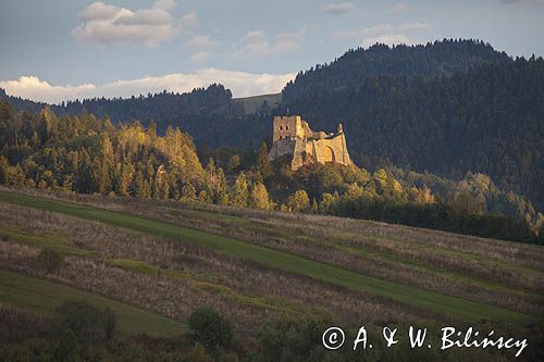 Ruiny zamku Czorsztyn, Pieniny