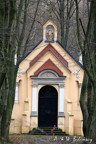 Dąbrówka Starzeńska, zespół parkowo pałacowy, kaplica grobowa Starzeńskich