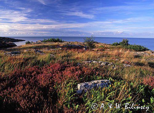 Dania wyspa Bornholm