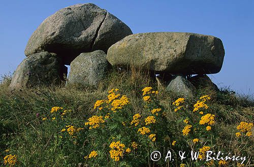 dolmeny na wyspie Mon, Dania