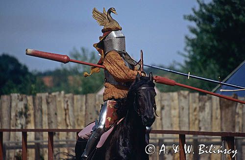 Dania wyspa Lolland, Sundby, Centrum Średniowiecza, skansen,