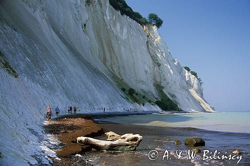 Dania wyspa Mon, Mons Klint - klify kredowe