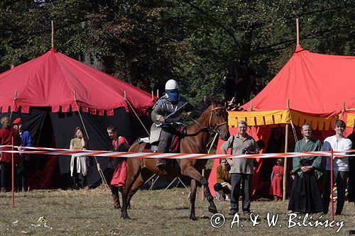 Dębno, zamek, turniej rycerski